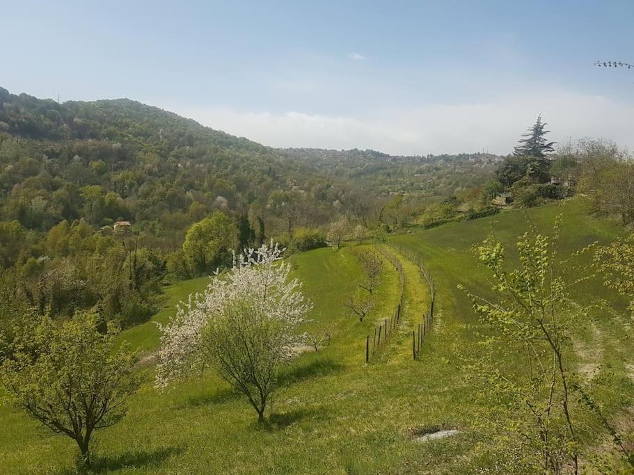 Casa Vacanza Mattirolo - Castagneto Po Ngoại thất bức ảnh
